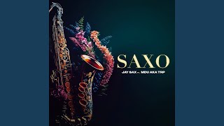 Saxo feat Mdu aka TRP [upl. by Austina]