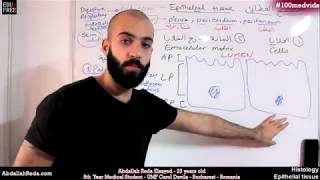 هستولوجي Epithelial cell polarity قطبية الخلايا الغطائية  عبد الله رضا MD  Rocademia روكاديميا [upl. by Isteb]