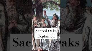 druidic oak sanctuaries and the importance of oaks in ancient Celtic culture history druids [upl. by Sulihpoeht620]