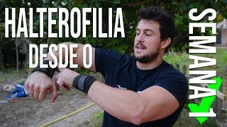 OBJETIVO Aprender HALTEROFILIA correctamente desde 0  semana 1 [upl. by Netram760]