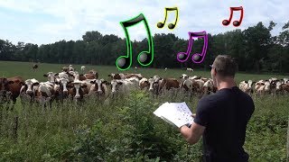 Live Burp Concert in Front of Cows [upl. by Neih362]