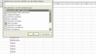 Excelblad en kolommen beveiligen [upl. by Corrina]