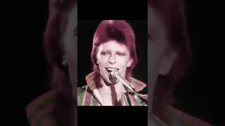 😎🏴󠁧󠁢󠁳󠁣󠁴󠁿 a celebration of Bowies music [upl. by Singband]