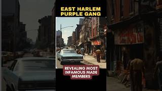 EAST HARLEM PURPLE GANG  Which Members Got Made into the Five Families genovesefamily [upl. by Ewnihc]