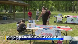 Strut your mutt Dog park event raises money for 4legged friends [upl. by Zaria]