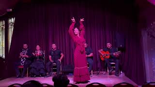 Flamenco Show at Palau Dalmases part 1 [upl. by Yemrots257]