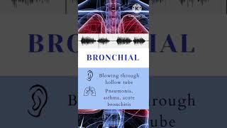 Lung sounds for Medical students Rochi Rales pleural rub and crackles [upl. by Cortie]