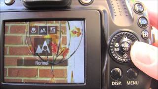 Canon Powershot SX40 HS Tutorial Step Seven  Manual Focus [upl. by Elleret]