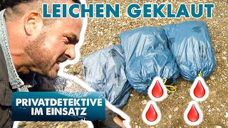 Entsetzlich❗️4 Leichen verschwunden  Privatdetektive im Einsatz [upl. by Borras]