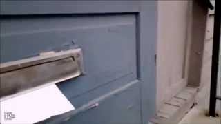 Ferocious Cat Battles the Mailman Through the Mail Slot [upl. by Arber]