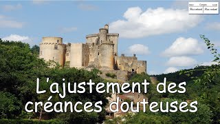 Lajustement des créances douteuses [upl. by Refanej]