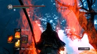 Пироманты Лаврентий Квилана Энги Dark Souls  Дарк Соулс квесты пиромантов [upl. by Emmy]