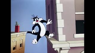 Catty Cornered 1953 Looney Tunes 🐱📐 [upl. by Berkeley]