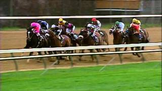 2000 Breeders Cup Classic [upl. by Anialad]