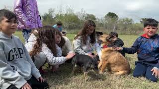 Se querían llevar a Linda Niños se unen para ayudar a los perritos abandonados Niños y perritos [upl. by Air371]