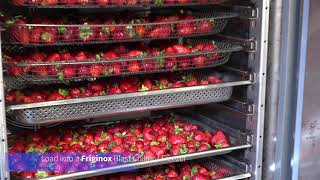 Friginox  How to blast freeze Strawberries [upl. by Aelc]