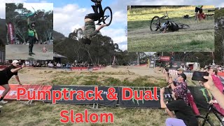 2024 Thredbo Cannonball Festival Day 4amp5 VLOG  BULK CARNAGE [upl. by Clougher243]