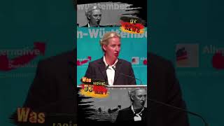 Totengräber der BRD deutschland news nachrichten politik new shorts afd weidel alice grün [upl. by Loggins]