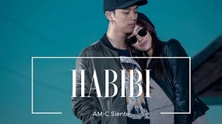 AMC amp SIENTE  HABIBI Official MV [upl. by Ocin]