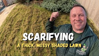 Scarifying A Thick Mossy Lawn 4k [upl. by Cleave]