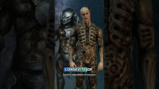 Predator ORIGIN theory you didnt expect predators horror [upl. by Debora541]