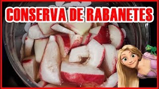 COMO FAZER CONSERVA DE RABANETES por Beleza na Cozinha [upl. by Letnohs918]