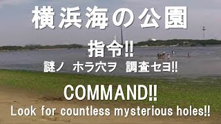 ヤビーポンプで生物を捕まえてみた 横浜海の公園 [upl. by Eicyac]