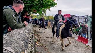 Ballinasloe Horsefair 22 [upl. by Khosrow339]