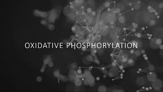 Biochemistry  Oxidative phosphorylation [upl. by Ikiv10]