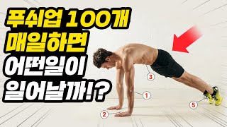 푸쉬업100개 매일하면 일어나는 충격적 변화 맨몸운동 근육성장 3주 루틴 [upl. by Ylelhsa]