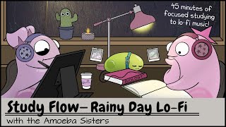 Study Flow Amoeba Sisters Rainy Day Lofi Study Video  45 Minutes [upl. by Holly-Anne]