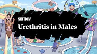 Urethritis in Males Lesson Part 1  Sketchy Medical  USMLE Step 2 CK [upl. by Aslam731]