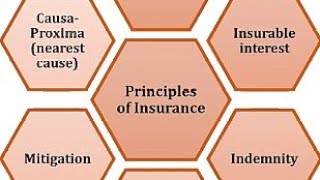 CLASS 11 II COMMERCE II BST II PRINCIPLE OF INSURANCE [upl. by Isborne]