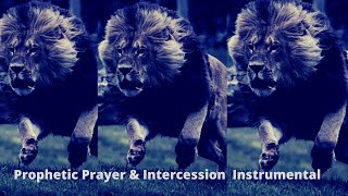 Prophetic Prayer ampIntercession  Instrumental [upl. by Aelahc]