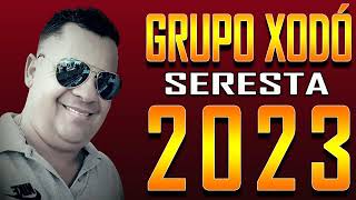 Grupo Xodó Seresta Pra Paredão2023 [upl. by Sokul]