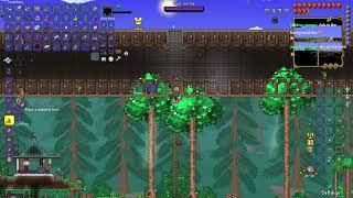 Modded Terraria [upl. by Nonnerb]