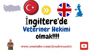 İngilterede Veteriner hekim olmakfyp [upl. by Ahsirk456]