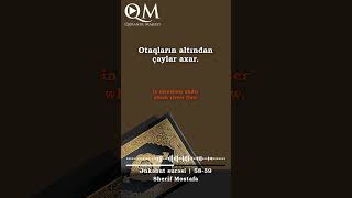 Cən­nət­ otaq­larında yerləşdirəcəyik  Ənkəbut surəsi 5859  Surah Ankabut 5859  Sherif Mostafa [upl. by Eillam]