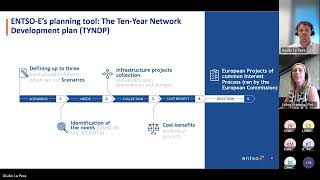 ENTSOE Public Webinar TYNDP 2024 Guidance for Promoters 11 July 2023 [upl. by Pengelly]