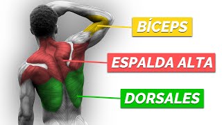 Rutina INTELIGENTE de ESPALDA y BÍCEPS de CALISTENIA [upl. by Chow316]