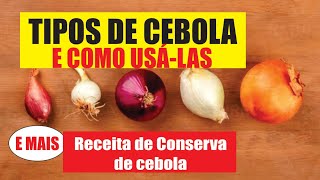 Tipos de Cebola e como usar nas receitas [upl. by Birgitta49]