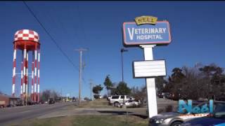 Neel Veterinary Hospital Oklahoma City [upl. by Jud]