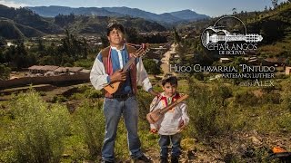 Charangos de Bolivia 02  Hugo Cavarría quotPintudoquot  Villa Serrano [upl. by Dnalerb927]