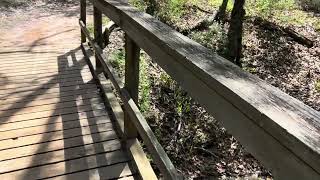 Hilking the Beaver Slide Trail [upl. by Lenhard]