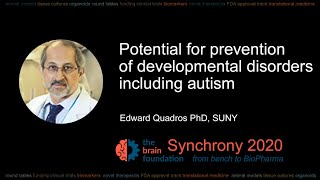 Potential for prevention of developmental disorders including autism E Quadros SUNY Synchrony2020 [upl. by Atiragram]