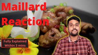 Maillard Reaction vs Caramelisation What is maillard reaction Fully explainedwithin 3 mins [upl. by Rosenstein]