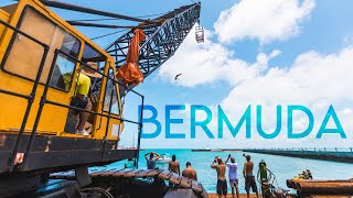 Bermuda 2019  Crane Jumping in Paradise [upl. by Siddon]