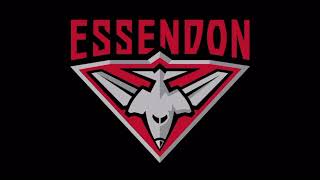 Essendon 2024 AFL Theme Song [upl. by Ermentrude]