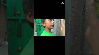 200 sal purana tree 🌳 ganga ndi me gir gaya 🥹 mini minivlog funny vlog trending viral shorts [upl. by Ecinad983]