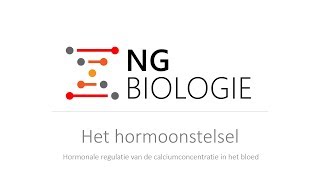 Het hormoonstelsel  hormonale regulatie van het calciumgehalte in het bloed  VWO [upl. by Rochester]